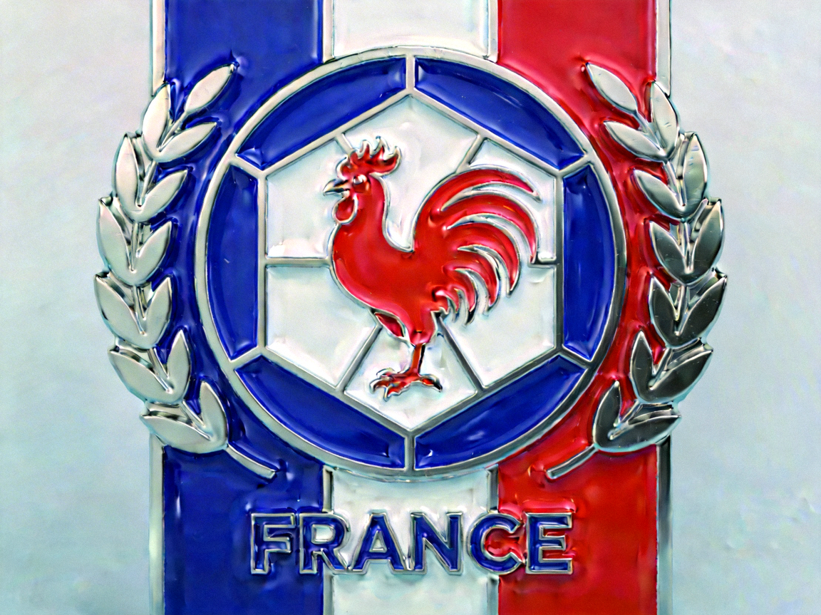 法国国家队队徽