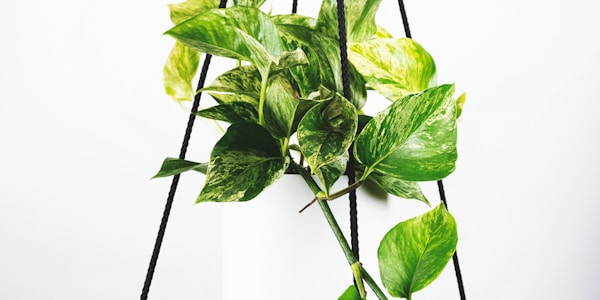 西班牙国家队红色队服球员